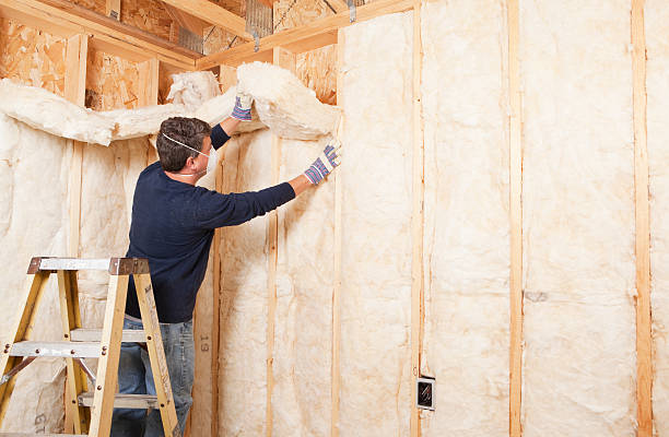 Best Insulation Air Sealing in West Monroe, LA